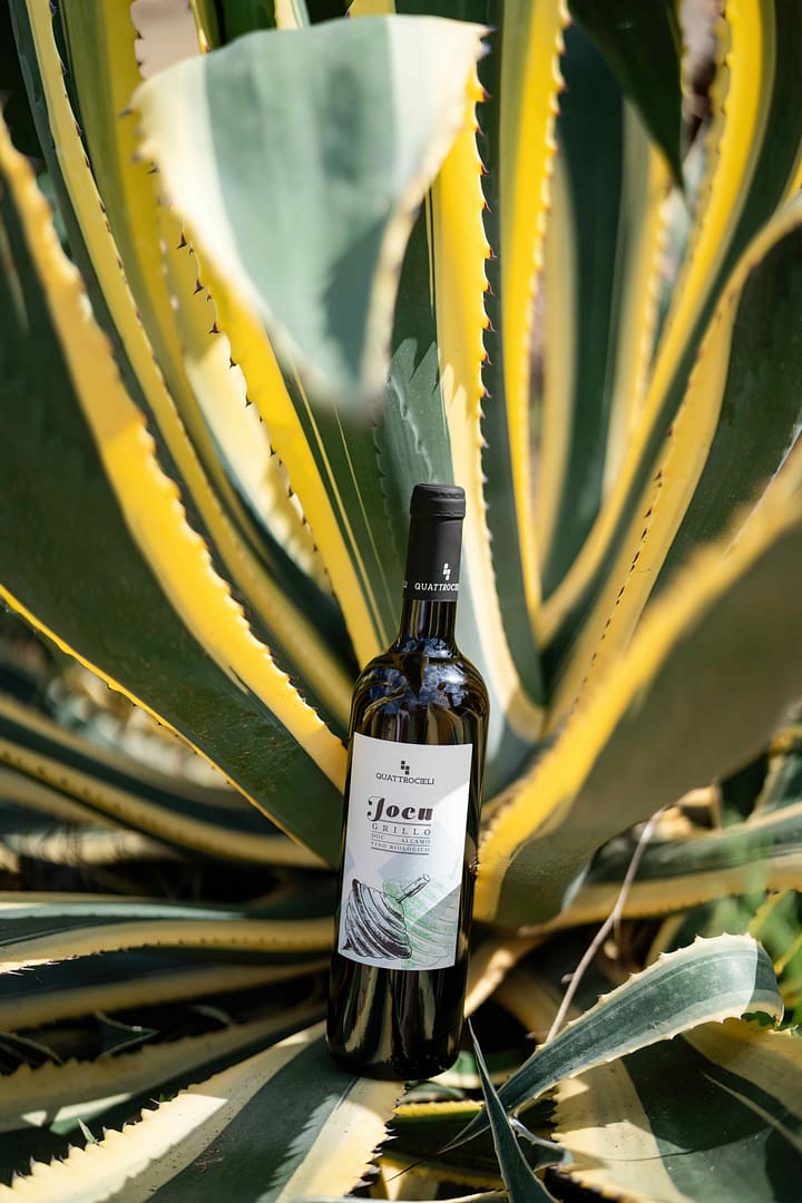 Jocu Grillo - immagine 2